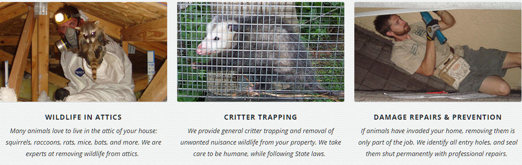 Santa Clarita California Pest Wildlife Removal, Animal Trapping and Control